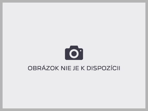 Peugeot 2008 2008 NEW ACTIVE 1.2 PureTech 100k BVM6